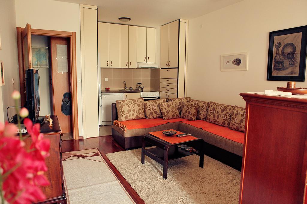 Studio Apartment Nika Andusa Петровац Номер фото